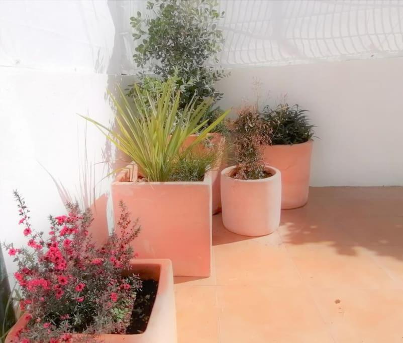 Cozy Apartment With Private Courtyard Barcarena Екстер'єр фото
